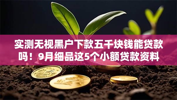 实测无视黑户下款五千块钱能贷款吗！9月细品这5个小额贷款资料包