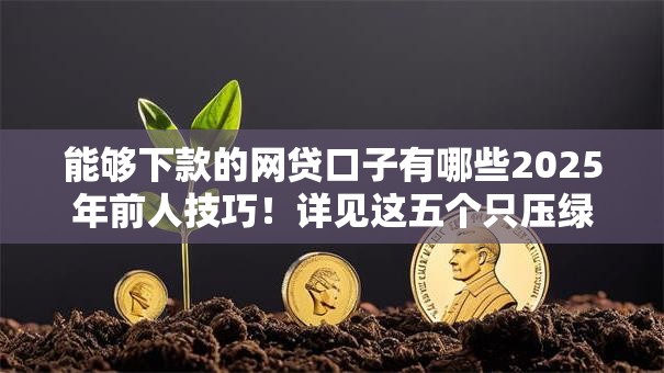 能够下款的网贷口子有哪些2025年前人技巧！详见这五个只压绿本不看征信