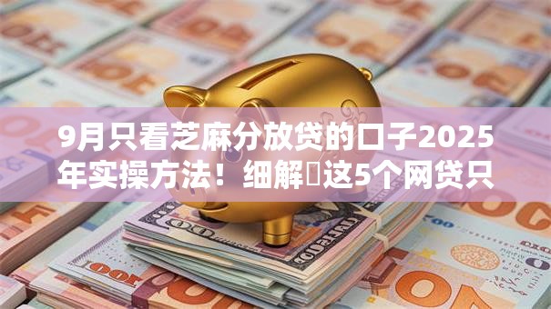 9月只看芝麻分放贷的口子2025年实操方法！细解​这5个网贷只看芝麻分借钱软件
