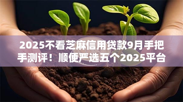 2025不看芝麻信用贷款9月手把手测评！顺便严选五个2025平台不看芝麻信用借钱