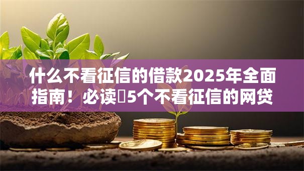 什么不看征信的借款2025年全面指南！必读​5个不看征信的网贷口子