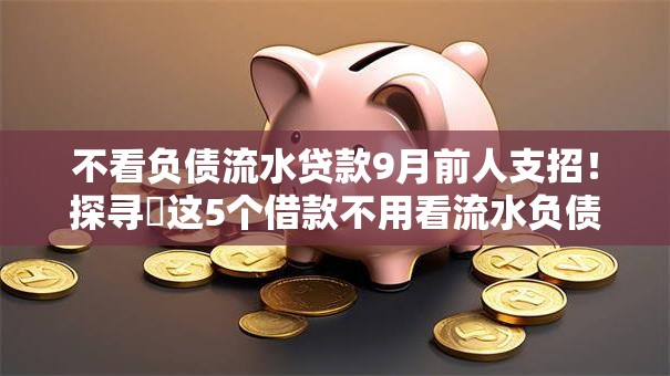 不看负债流水贷款9月前人支招！探寻​这5个借款不用看流水负债的口子
