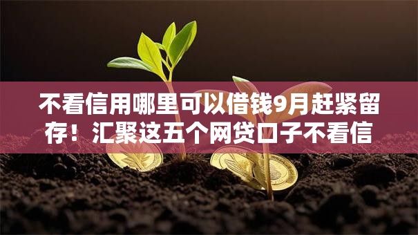 不看信用哪里可以借钱9月赶紧留存!汇聚这五个网贷口子不看信用可以借钱 不看信用哪里可以借钱9月赶紧留存!汇聚这五个网贷口子不看信用可以借钱