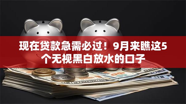 现在贷款急需必过！9月来瞧这5个无视黑白放水的口子