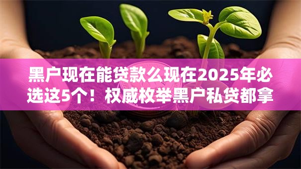黑户现在能贷款么现在2025年必选这5个!权威枚举黑户私贷都拿不到了 黑户现在能贷款么现在2025年必选这5个!权威枚举黑户私贷都拿不到了