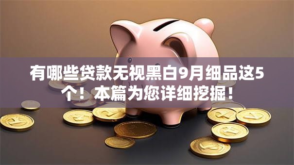 有哪些贷款无视黑白9月细品这5个！本篇为您详细挖掘！