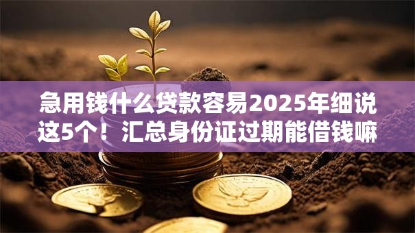 急用钱什么贷款容易2025年细说这5个！汇总身份证过期能借钱嘛