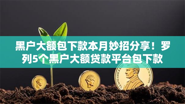 黑户大额包下款本月妙招分享！罗列5个黑户大额贷款平台包下款