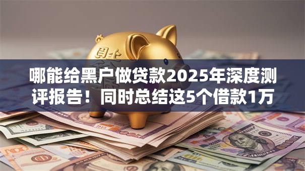 哪能给黑户做贷款2025年深度测评报告！同时总结这5个借款1万易过不要前期
