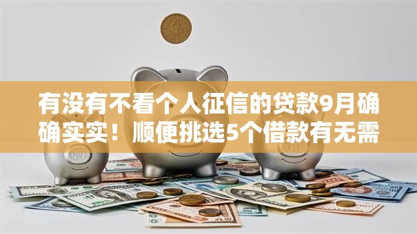 有没有不看个人征信的贷款9月确确实实！顺便挑选5个借款有无需个人征信的平台