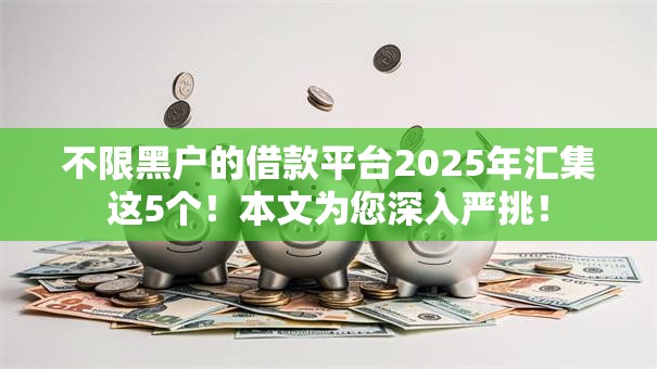 不限黑户的借款平台2025年汇集这5个！本文为您深入严挑！