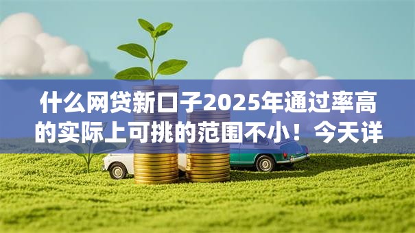 什么网贷新口子2025年通过率高的实际上可挑的范围不小！今天详细解析这5个黑户网贷app！