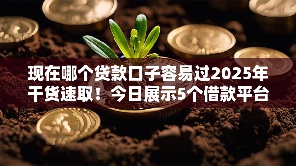 现在哪个贷款口子容易过2025年干货速取！今日展示5个借款平台容易通过
