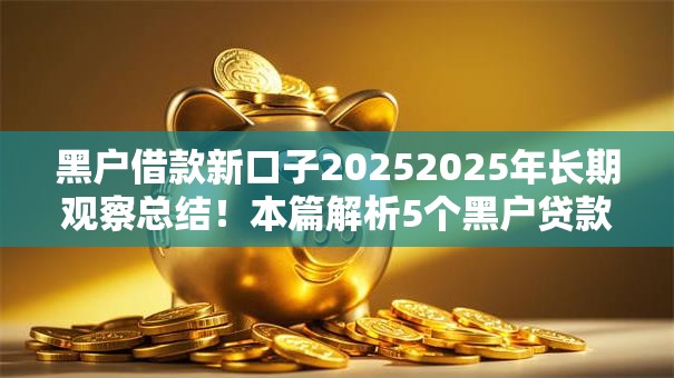 黑户借款新口子20252025年长期观察总结！本篇解析5个黑户贷款新平台2025开放