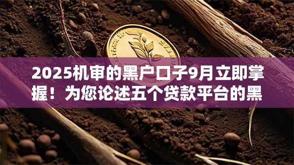 2025机审的黑户口子9月立即掌握！为您论述五个贷款平台的黑户借钱渠道