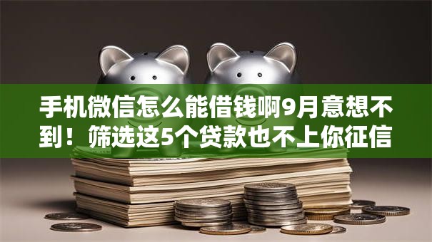 手机微信怎么能借钱啊9月意想不到！筛选这5个贷款也不上你征信吧
