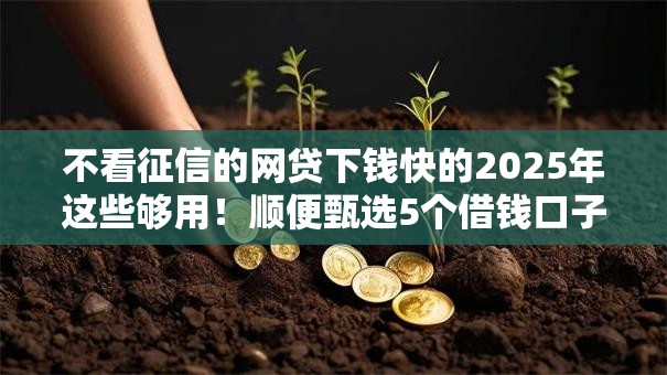 不看征信的网贷下钱快的2025年这些够用！顺便甄选5个借钱口子下款快不用看征信