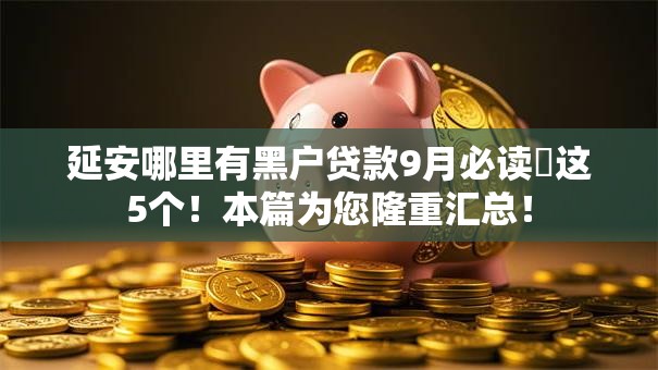 延安哪里有黑户贷款9月必读​这5个！本篇为您隆重汇总！
