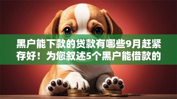 黑户能下款的贷款有哪些9月赶紧存好！为您叙述5个黑户能借款的网贷平台不少