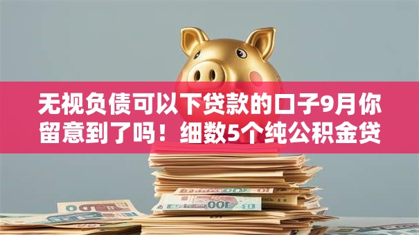 无视负债可以下贷款的口子9月你留意到了吗！细数5个纯公积金贷款看不看征信记录呢