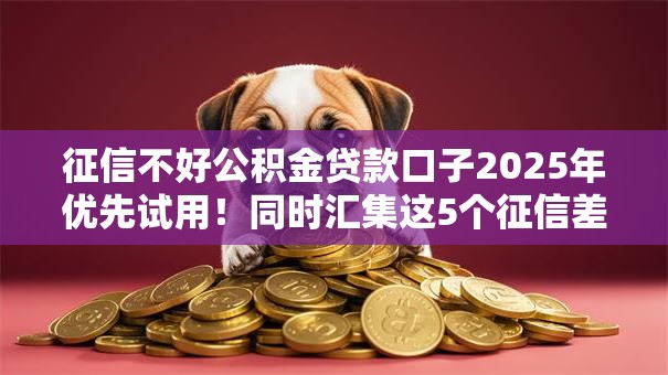 征信不好公积金贷款口子2025年优先试用！同时汇集这5个征信差网贷平台借钱渠道