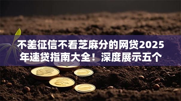 不差征信不看芝麻分的网贷2025年速贷指南大全！深度展示五个征信良好借钱口子不用查分