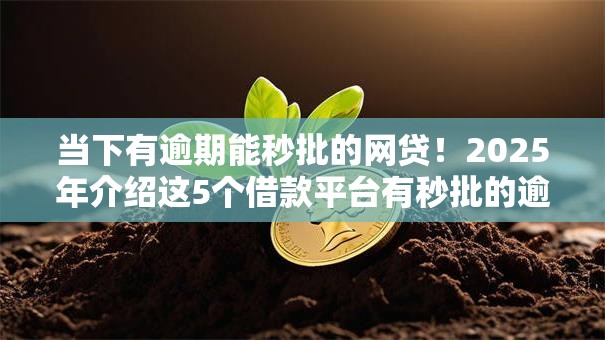 当下有逾期能秒批的网贷！2025年介绍这5个借款平台有秒批的逾期贷款