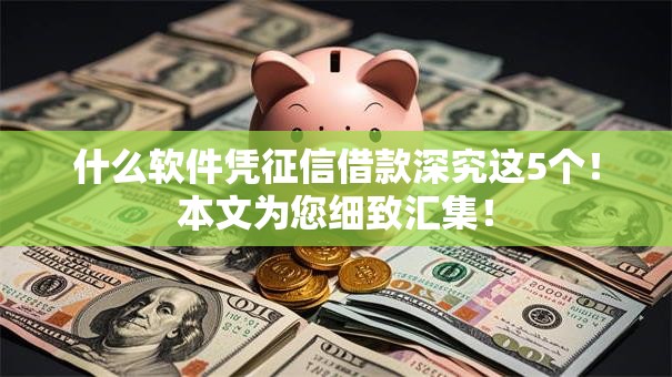 什么软件凭征信借款深究这5个！本文为您细致汇集！