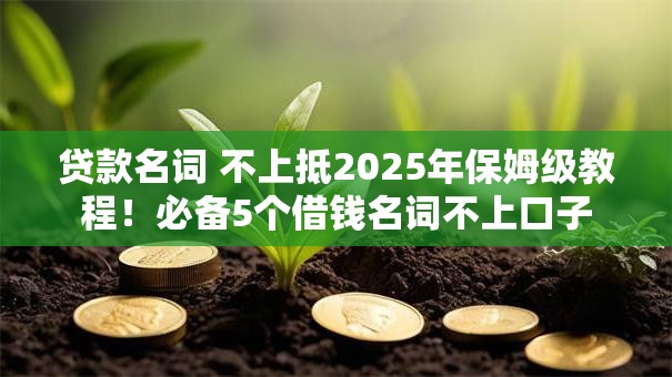贷款名词 不上抵2025年保姆级教程！必备5个借钱名词不上口子
