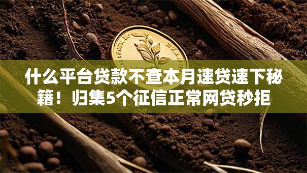 什么平台贷款不查本月速贷速下秘籍！归集5个征信正常网贷秒拒