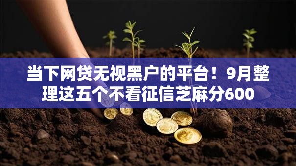 当下网贷无视黑户的平台！9月整理这五个不看征信芝麻分600