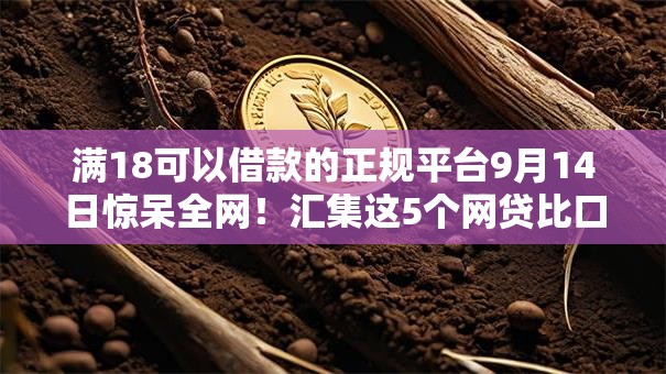 满18可以借款的正规平台9月14日惊呆全网！汇集这5个网贷比口子较快