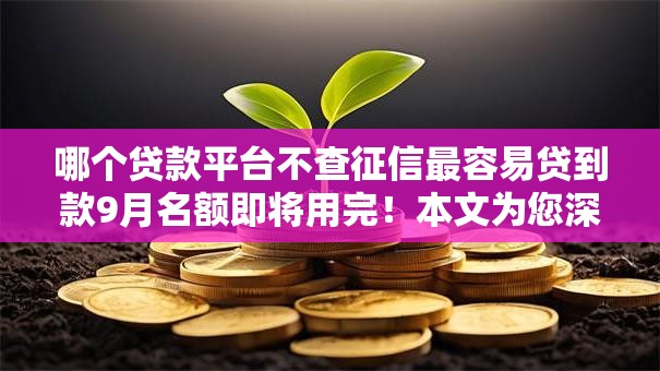 哪个贷款平台不查征信最容易贷到款9月名额即将用完！本文为您深入严筛！