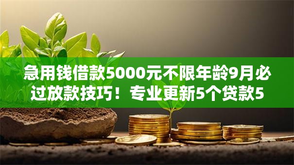 急用钱借款5000元不限年龄9月必过放款技巧！专业更新5个贷款5000元不限年龄平台