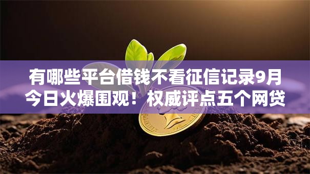 有哪些平台借钱不看征信记录9月今日火爆围观！权威评点五个网贷口子不看征信贷款