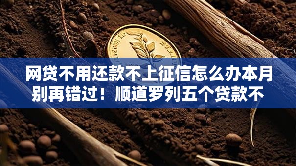 网贷不用还款不上征信怎么办本月别再错过！顺道罗列五个贷款不用还不上征信口子