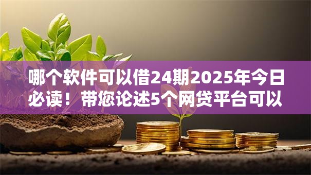 哪个软件可以借24期2025年今日必读！带您论述5个网贷平台可以借24期