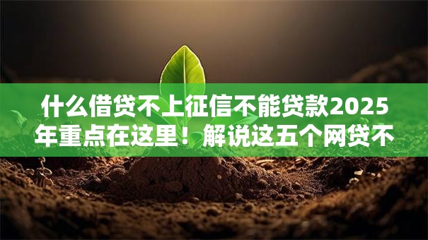 什么借贷不上征信不能贷款2025年重点在这里！解说这五个网贷不上征信借钱口子不能贷