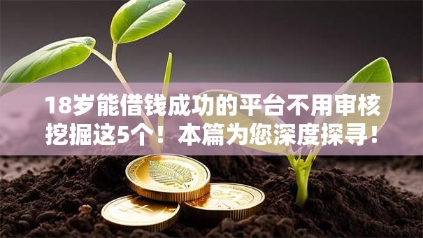 18岁能借钱成功的平台不用审核挖掘这5个！本篇为您深度探寻！
