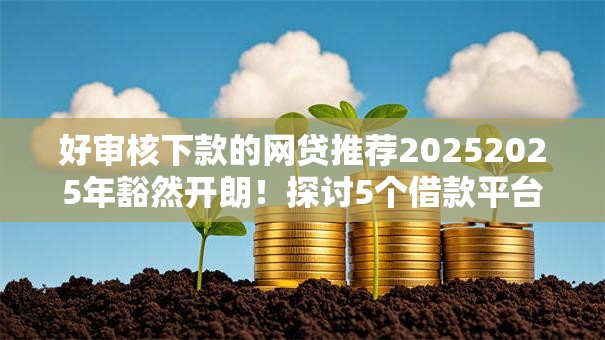 好审核下款的网贷推荐20252025年豁然开朗！探讨5个借款平台审核宽松易下款