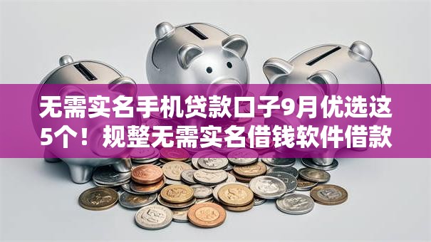无需实名手机贷款口子9月优选这5个！规整无需实名借钱软件借款口子