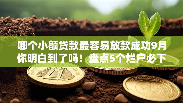 哪个小额贷款最容易放款成功9月你明白到了吗！盘点5个烂户必下的贷款小