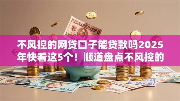 不风控的网贷口子能贷款吗2025年快看这5个！顺道盘点不风控的借钱口子能借款