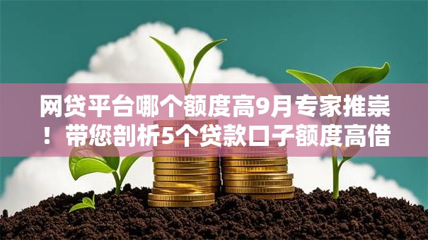 网贷平台哪个额度高9月专家推崇！带您剖析5个贷款口子额度高借钱软件