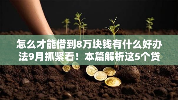 怎么才能借到8万块钱有什么好办法9月抓紧看！本篇解析这5个贷款口子借钱八万有办法