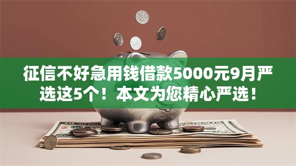 征信不好急用钱借款5000元9月严选这5个！本文为您精心严选！