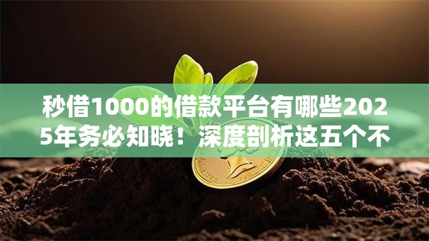 秒借1000的借款平台有哪些2025年务必知晓！深度剖析这五个不查征信2000贷款