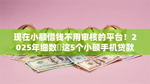 现在小额借钱不用审核的平台！2025年细数​这5个小额手机贷款口子最新