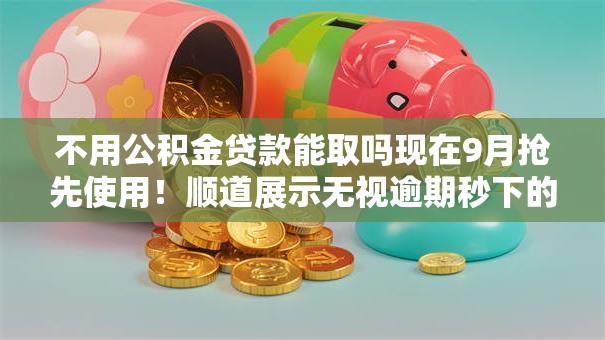 不用公积金贷款能取吗现在9月抢先使用！顺道展示无视逾期秒下的短期口子