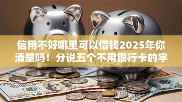 信用不好哪里可以借钱2025年你清楚吗！分说五个不用银行卡的学生贷款